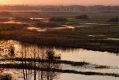 012_Biebrza - kwiecien 2012